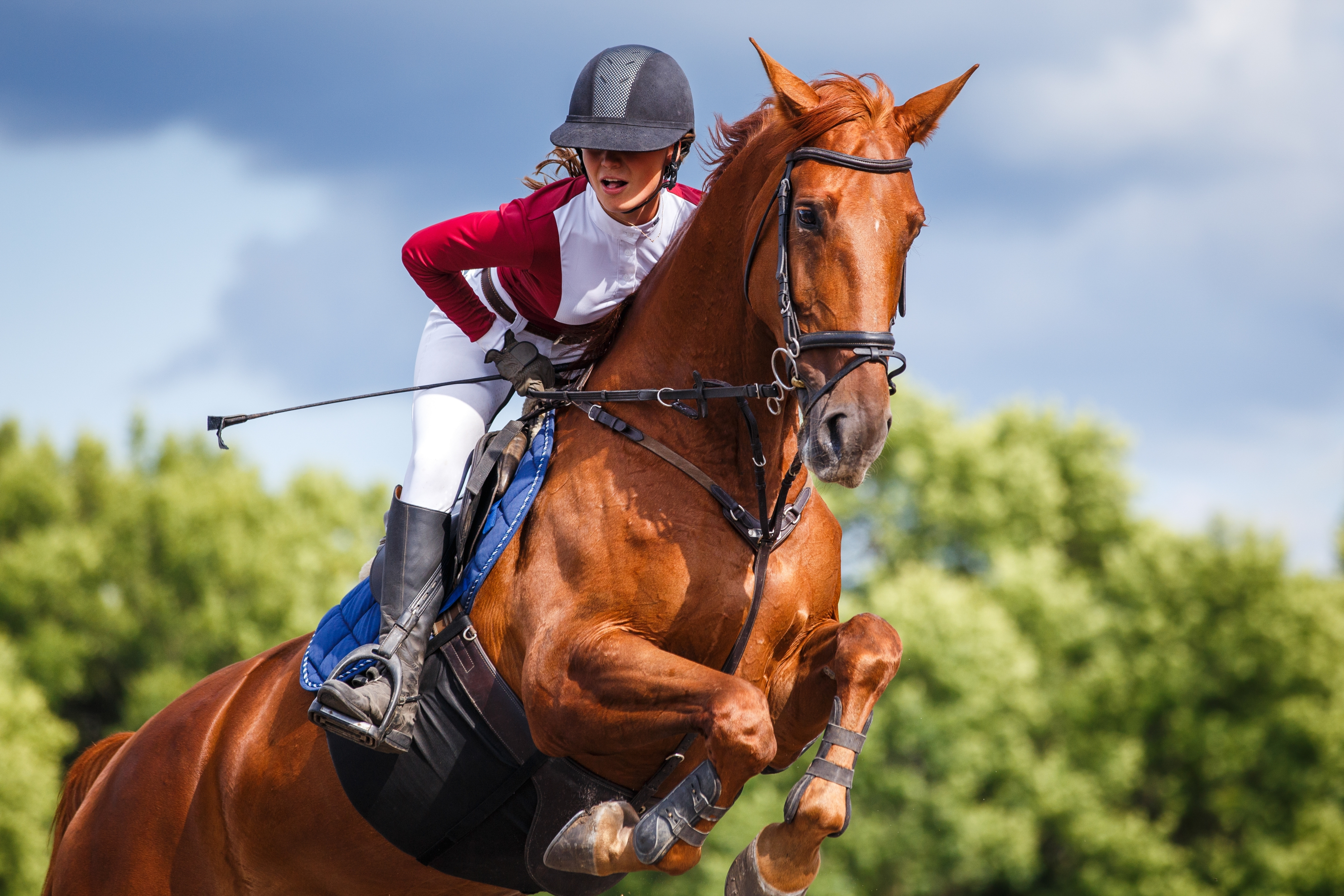 Luxury equestrian property